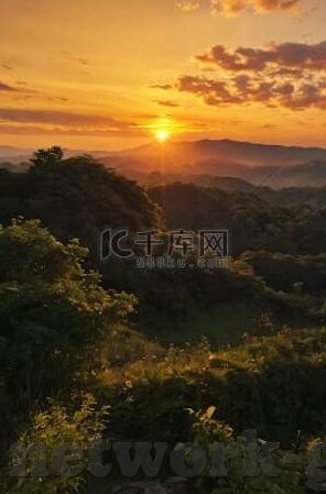 91麻豆传媒在线视频-光影的艺术，解锁网络视频的多元视角与价值
